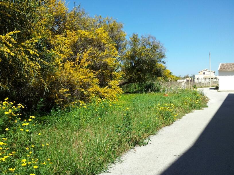 Casa Viale Lido Βίλα Marzamemi Εξωτερικό φωτογραφία